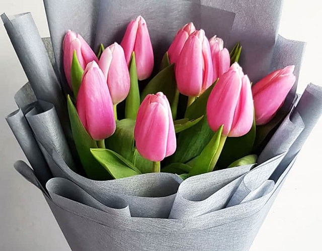 Tặng hoa tulip hồng trong buổi hẹn đầu